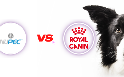 ¿Qué marca es mejor Nupec o Royal Canin?